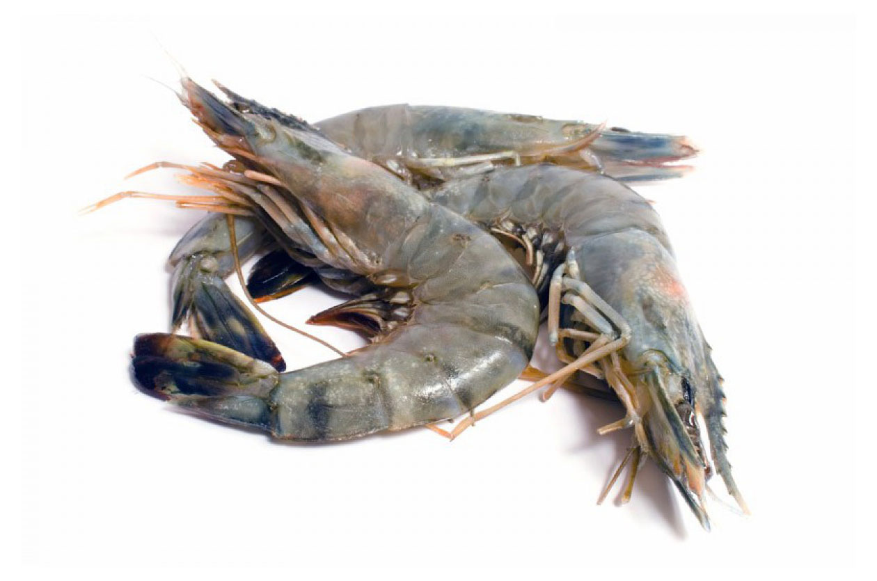 

Креветка тигровая БиоMore с головой 13/15, вес