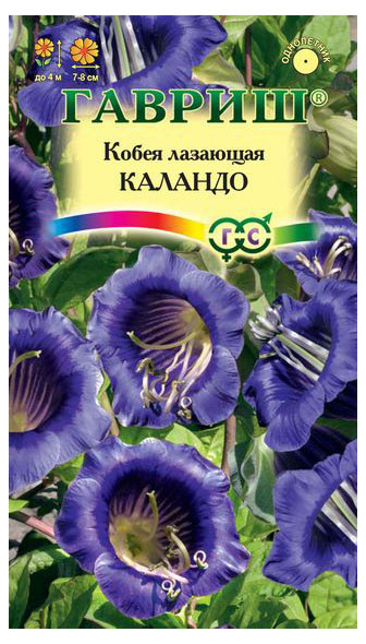 

Семена Кобея лазящая Гавриш Каландо, 5 шт