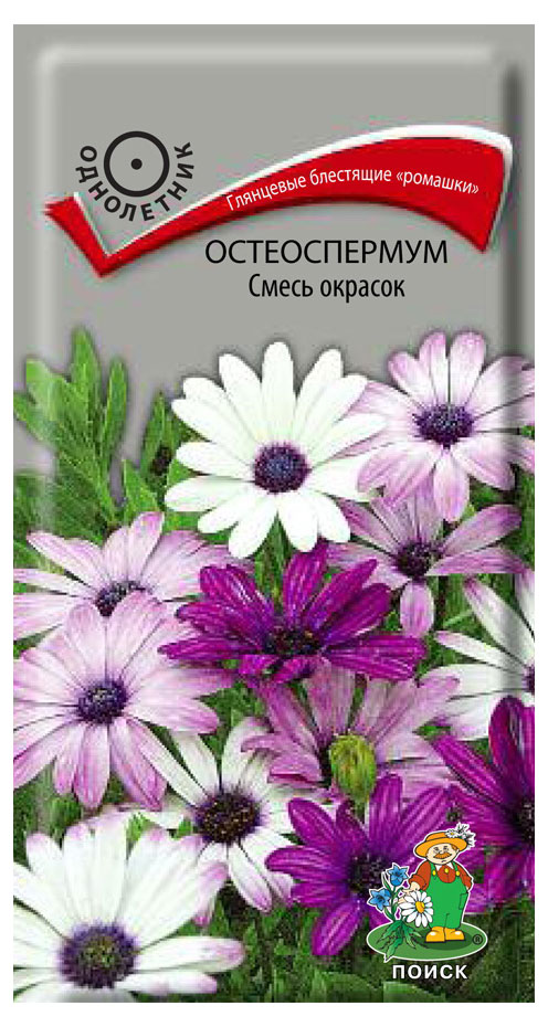 

Семена Остеоспермум Поиск смесь окрасок, 1 г