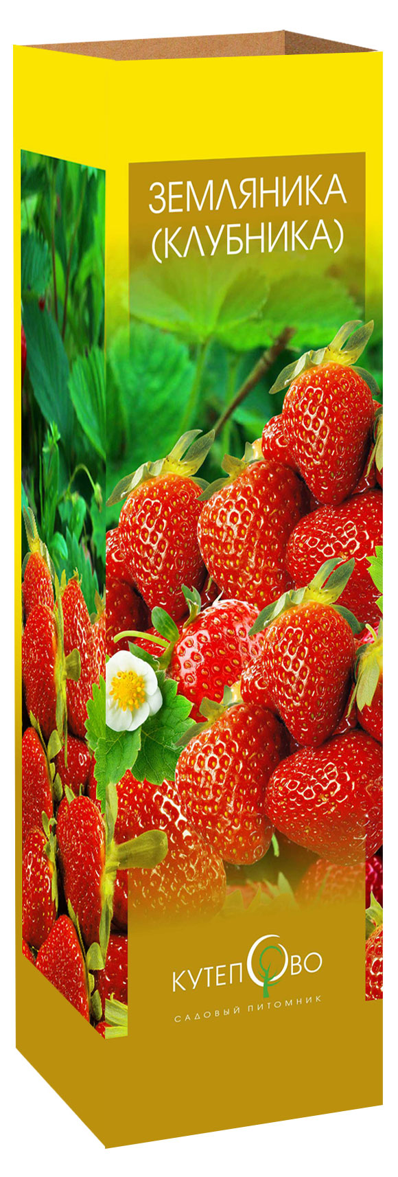 

Саженцы Земляника садовая Вима Рима, 3 шт