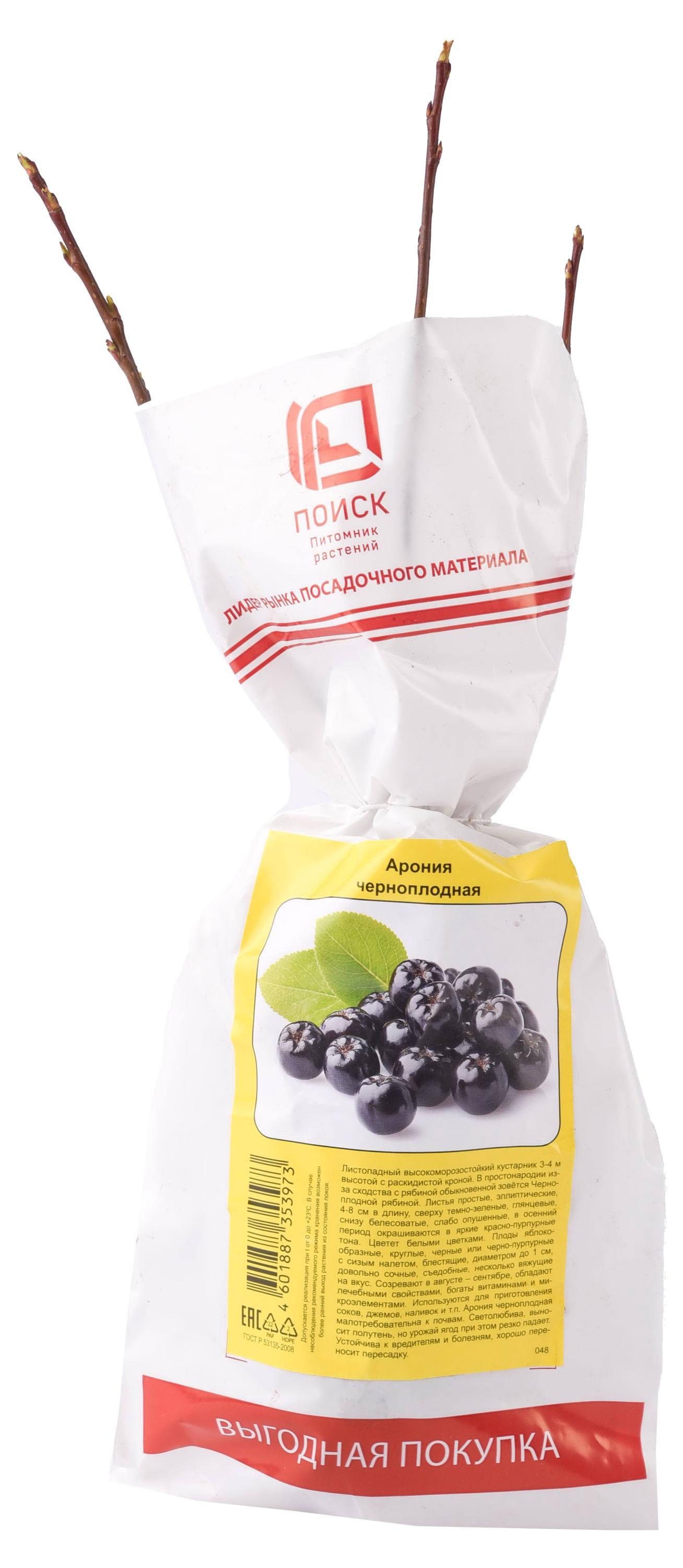 

Арония Поиск