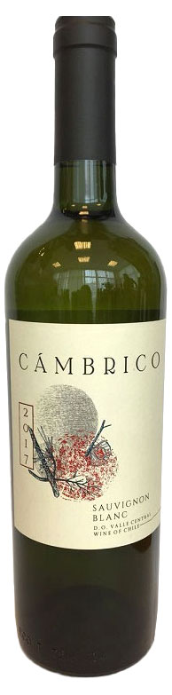 

Вино Cambrico Sauvignon Blan белое сухое Чили, 0,75л