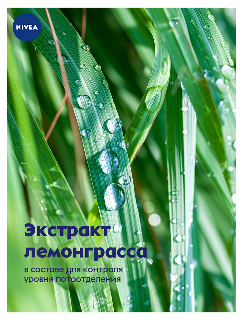 https://www.auchan.ru/files/original/26745405