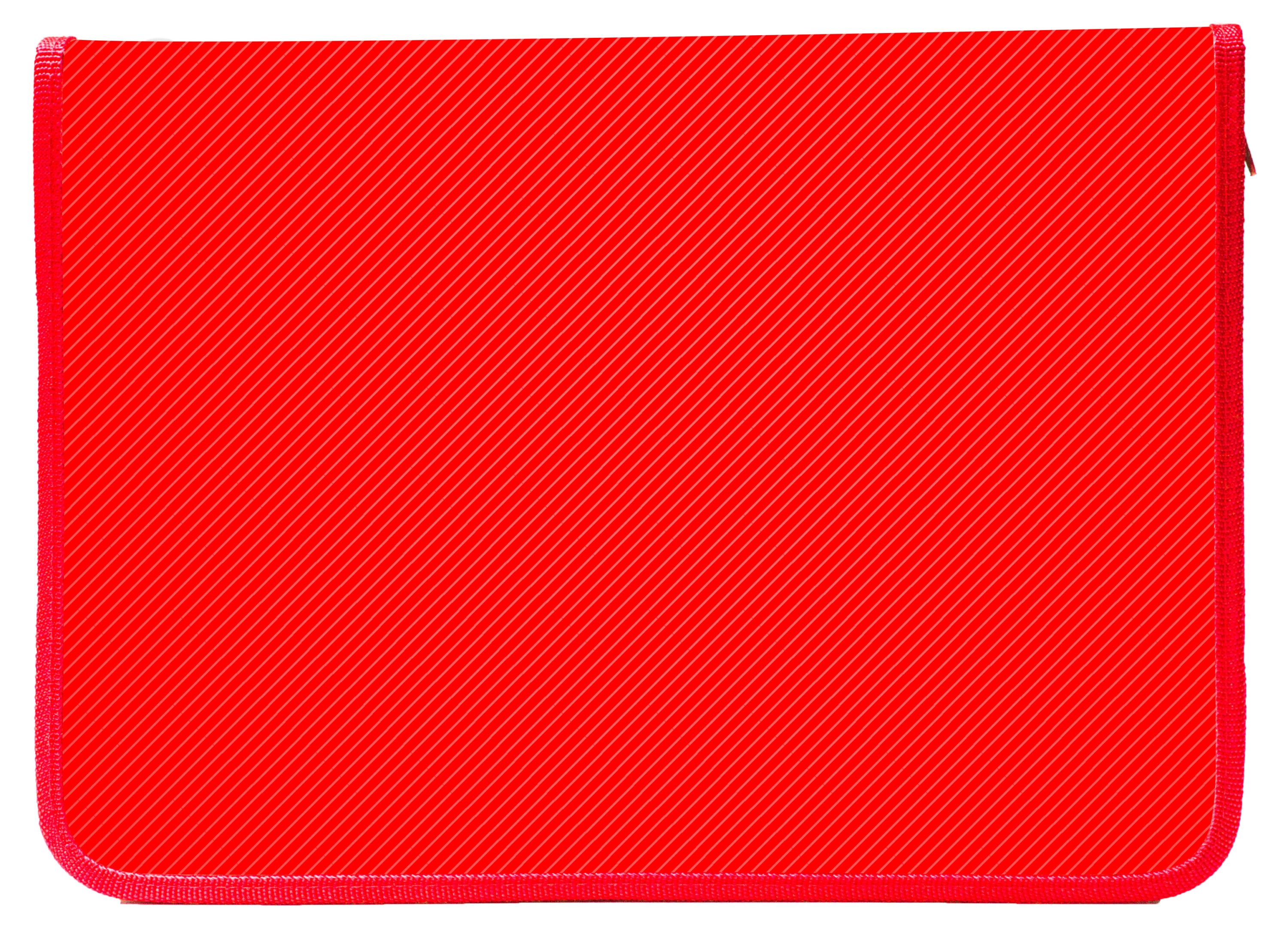 

Папка для тетрадей Пчелка А4 на молнии пластиковая, 325х230х25 мм, 1 шт, в ассортименте