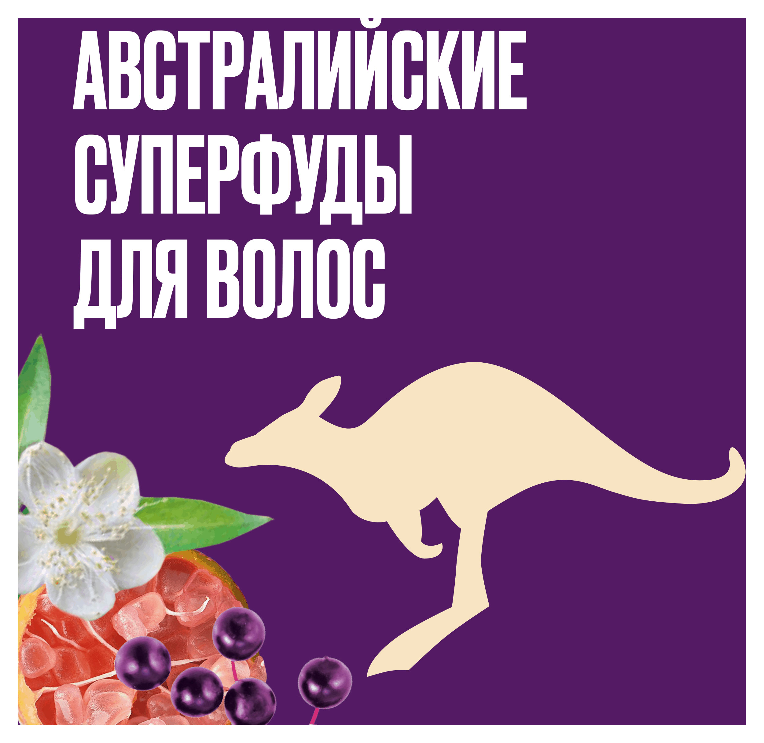 https://www.auchan.ru/files/original/26879276