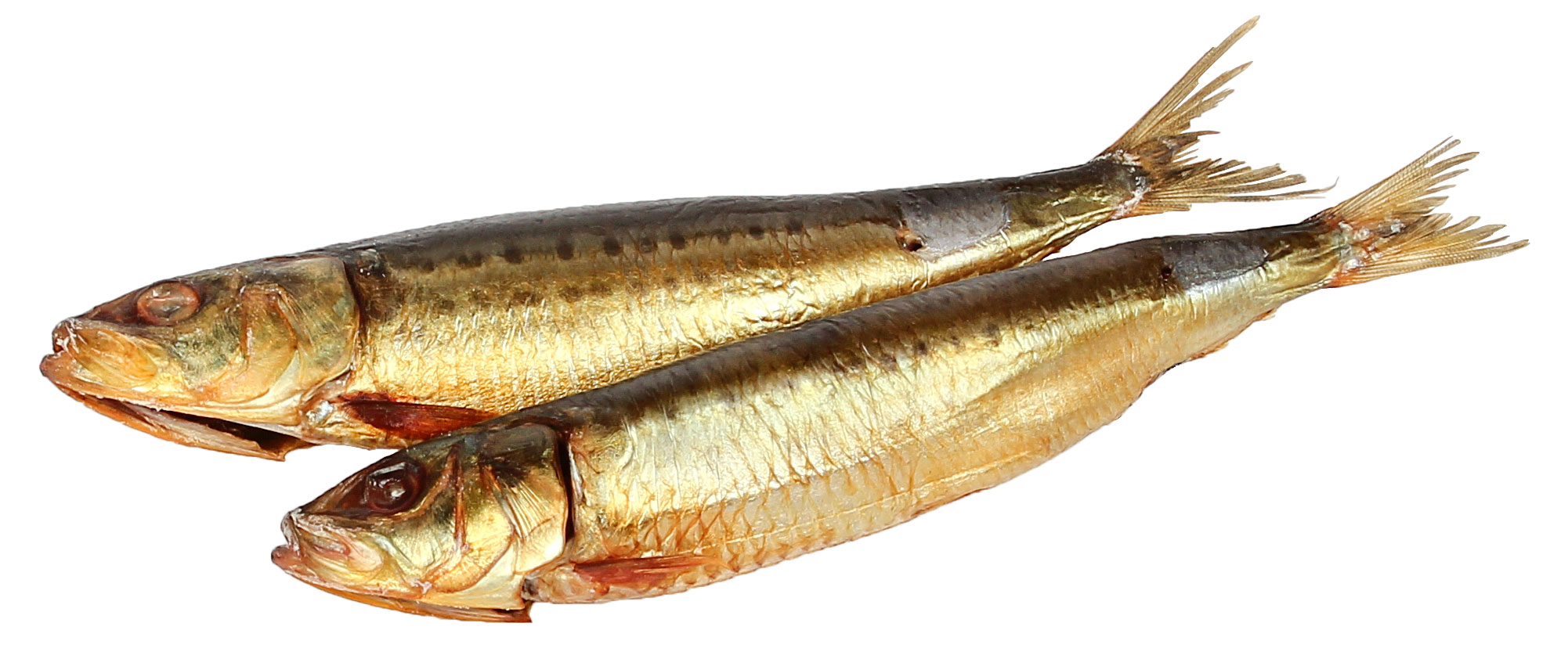 

Сардина Иваси холодного копчения наразделанная, вес