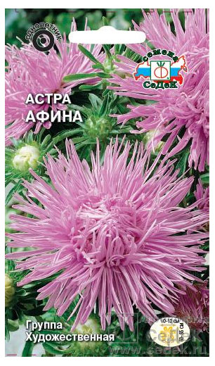 

Семена СеДеК Цветок Астра Афина Игольчатая
