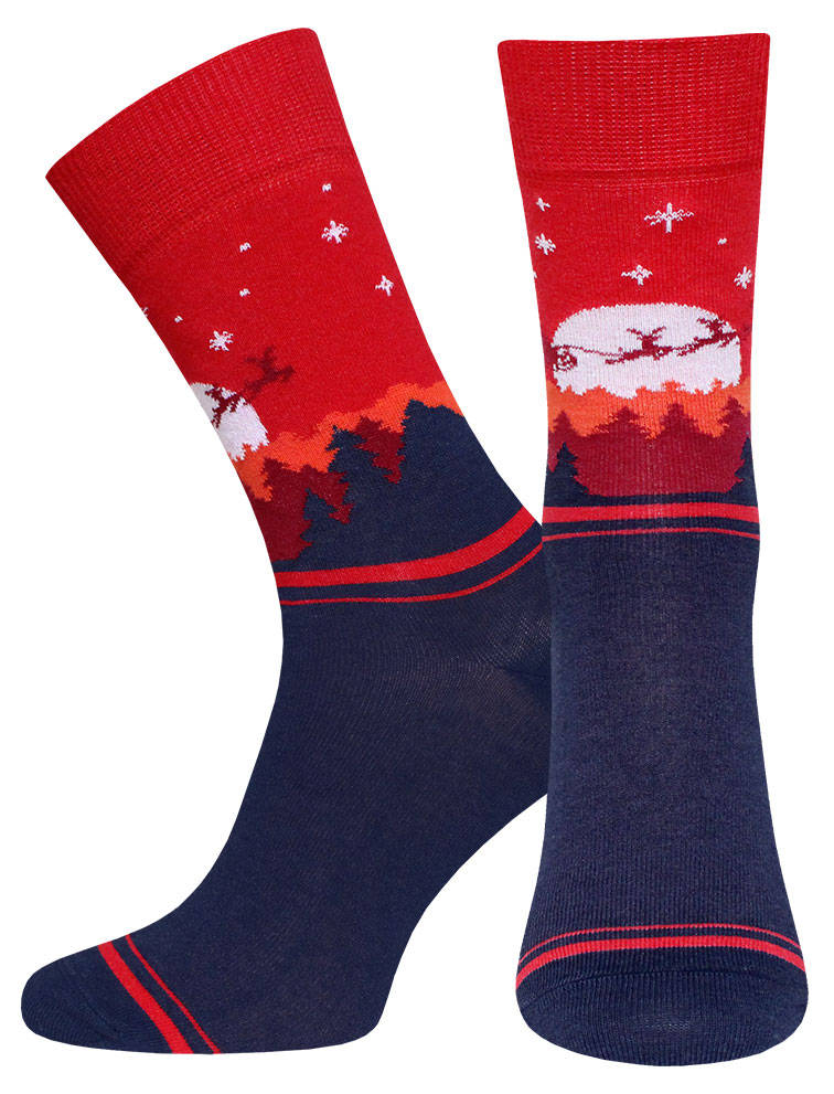 Изображение товара Мужские носки "Брестские" синий меланж 2146 размер 25