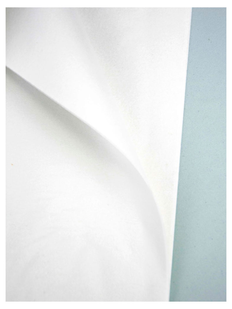 

Бумага флористическая упаковочная тишью Азалия Декор белая для цветов и подарков 50x66 см, 10 шт