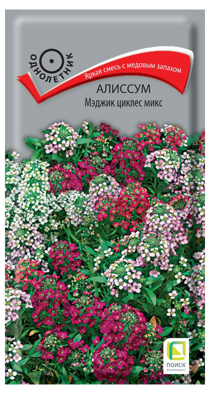 Изображение товара Семена Алиссум «Поиск» Мэджик Циклен микс, 0,3 г