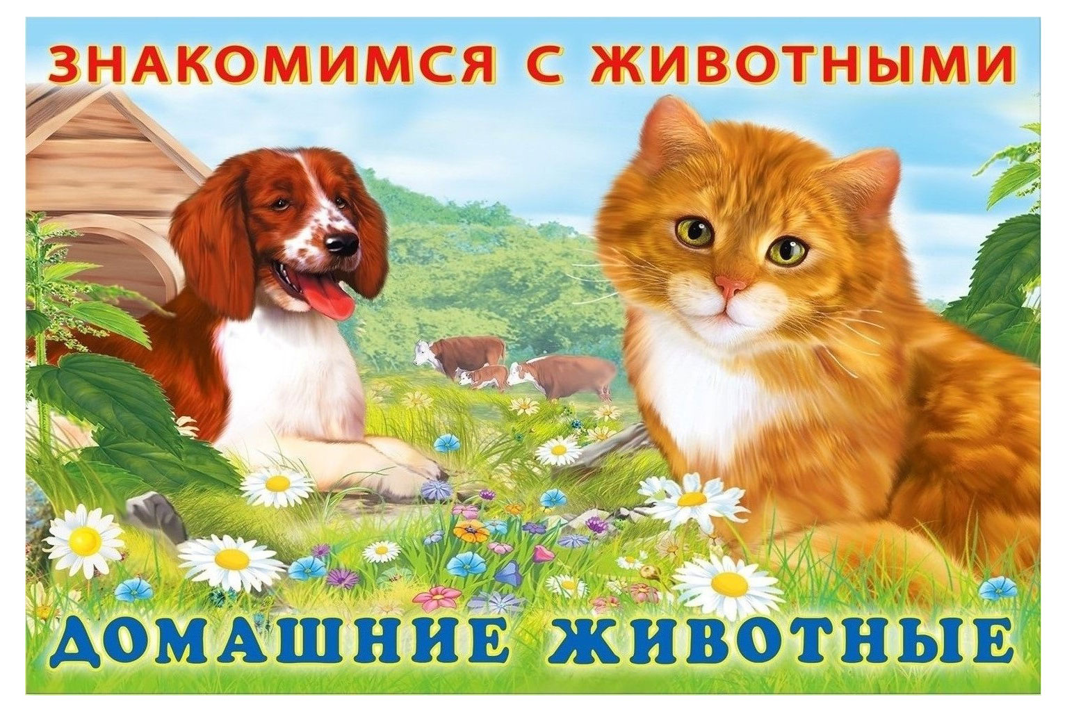 

Знакомимся с животными Домашние животные