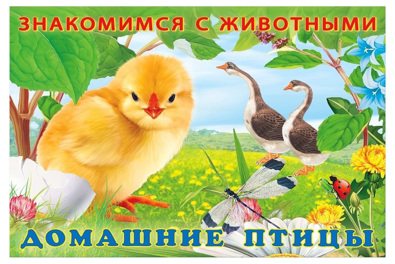 

Знакомимся с животными Домашние птицы