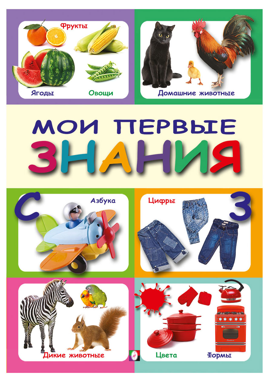 

Мои первые знания