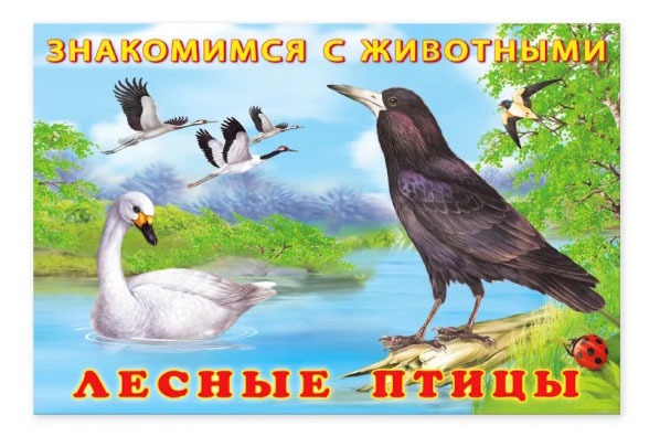 

Знакомимся с животными Лесные птицы