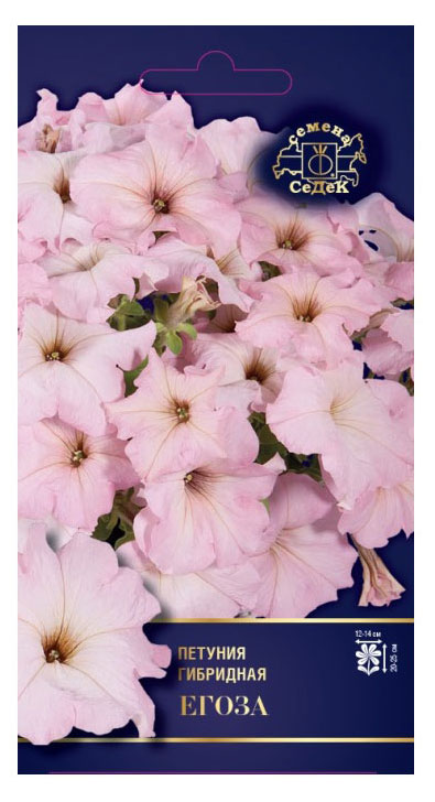 

Семена СеДеК Петуния Егоза гибридная