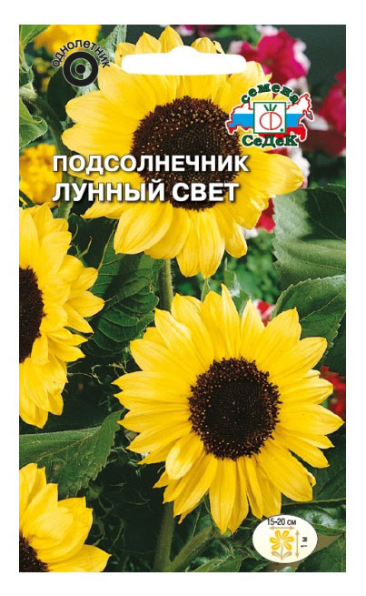

Семена СеДеК Подсолнечник Лунный свет