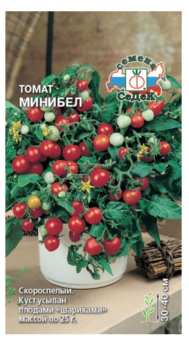 

Семена СеДеК Томат Минибел