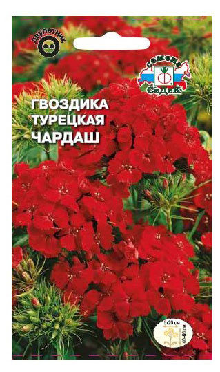 

Семена СеДеК Гвоздика Чардаш турецкая