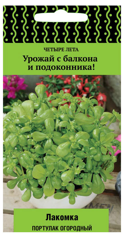 

Семена Поиск Портула Лакомка, 20 шт