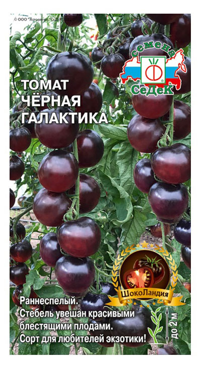 

Семена СеДеК Томат Черная Галактика