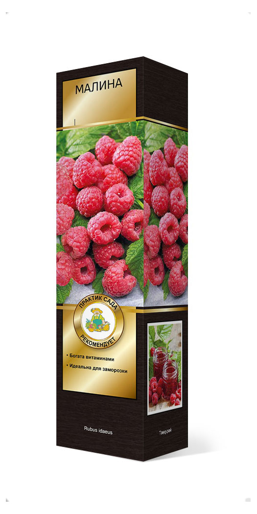 Изображение товара Малина ремонтантная "Поиск" 1 шт - декоративная и вкусная