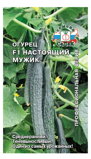 

Семена СеДеК Огурец Настоящий мужик F1