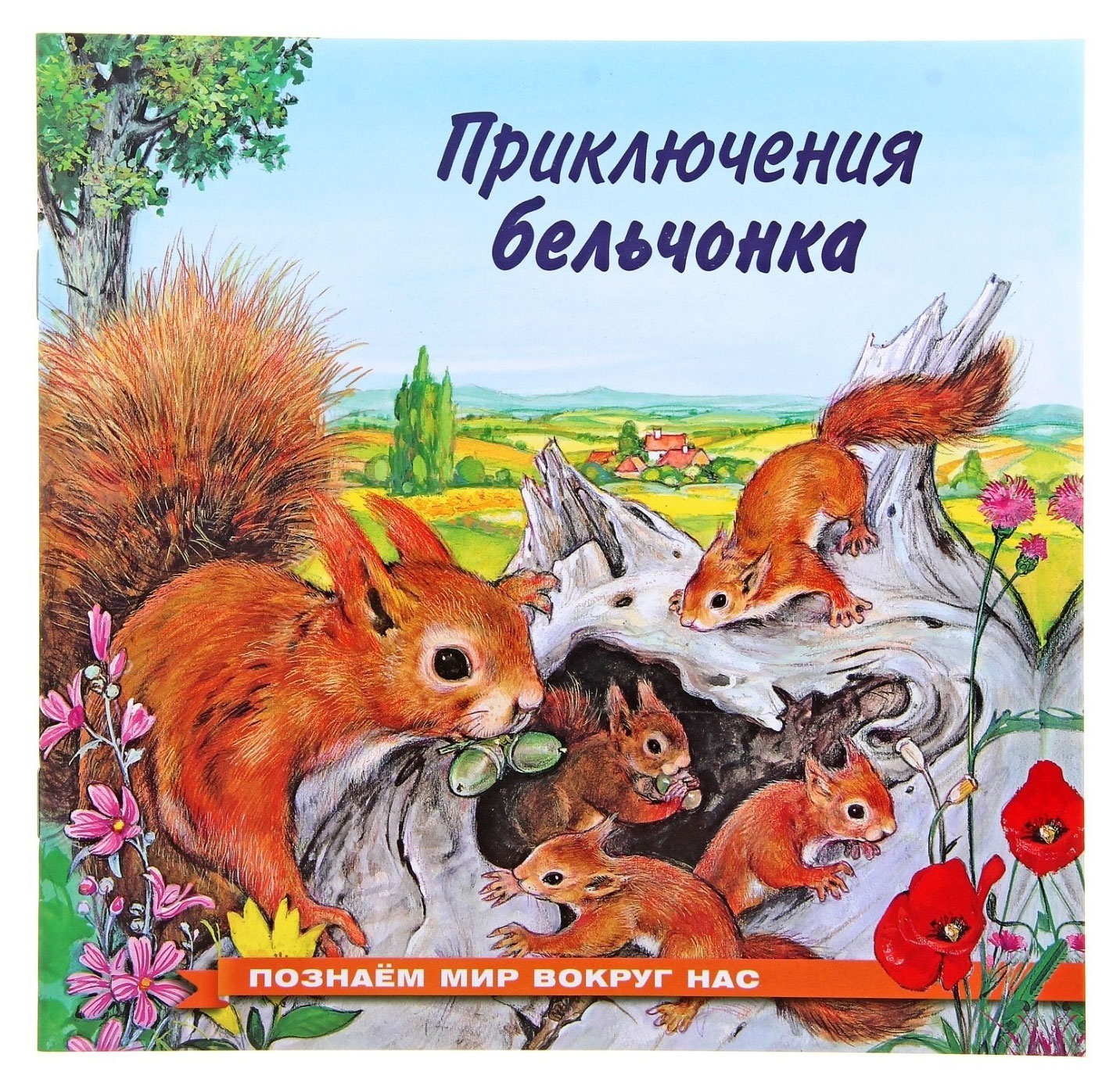 

Приключения бельчонка