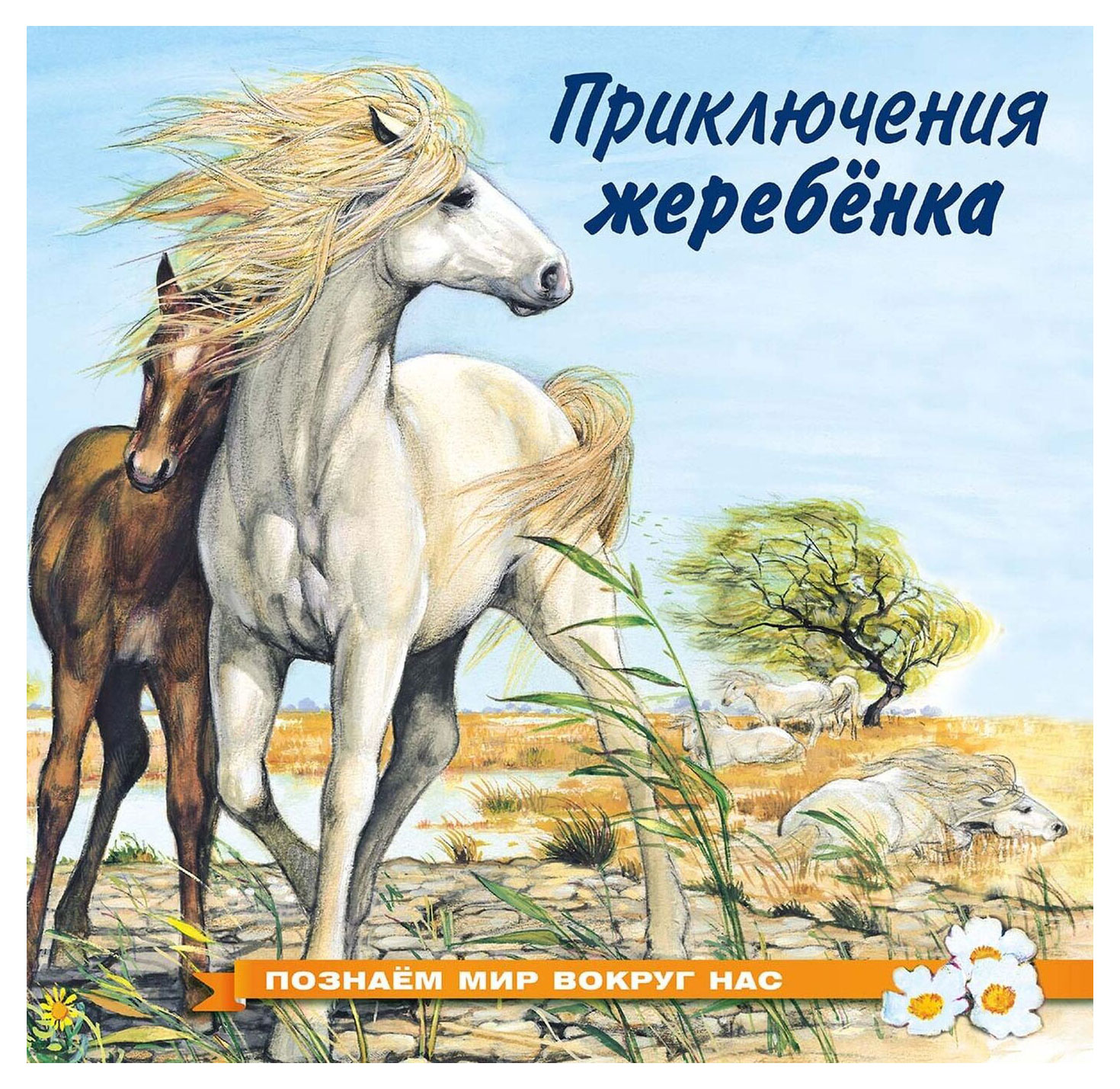 

Приключения жеребёнка