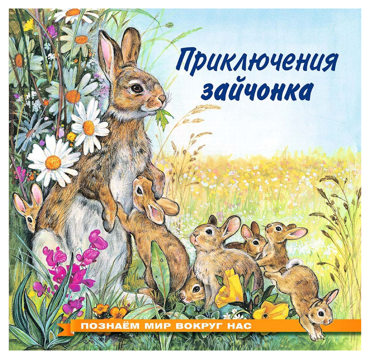 

Приключения зайчонка