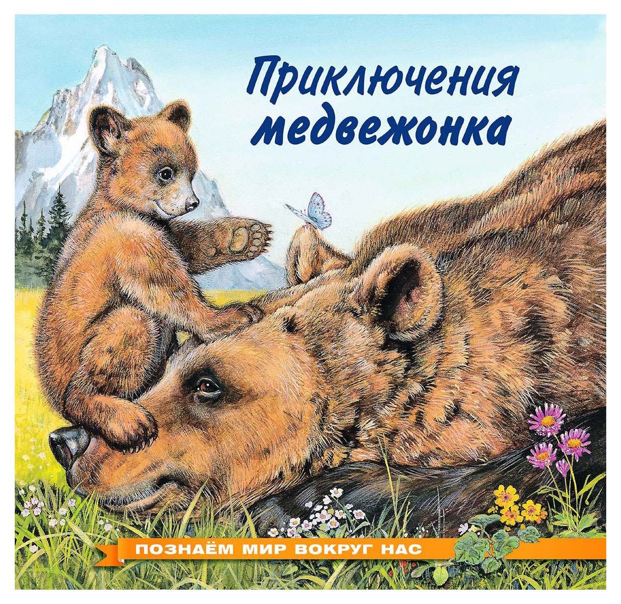 

Приключения медвежонка