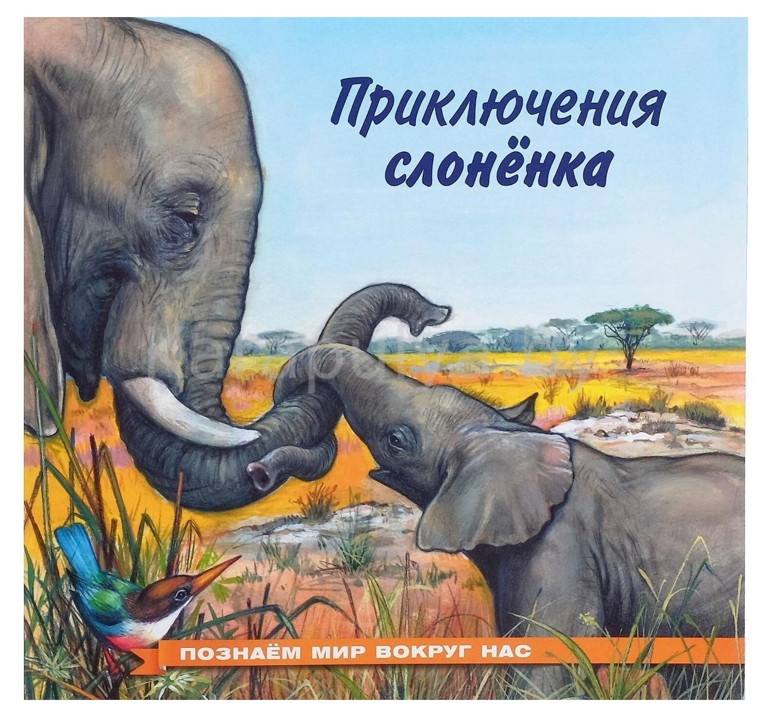

Приключения слонёнка