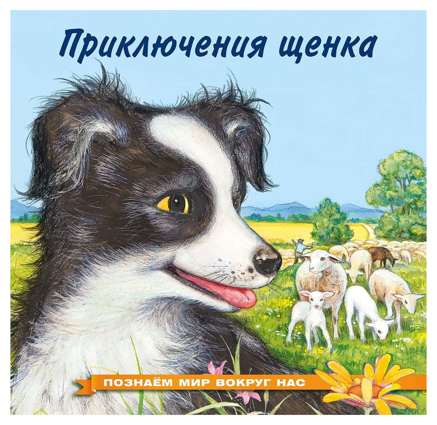

Приключения щенка