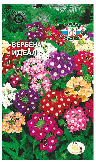

Вербена СеДеК Идеал, 0,1 г