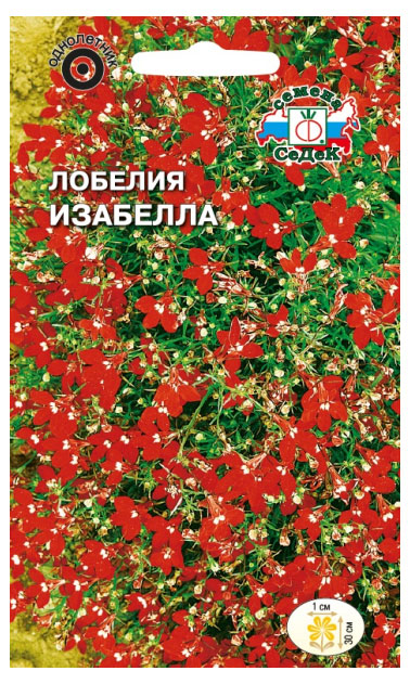 

ЛобелияСеДеК Изабеллаампельная, 0,03 г