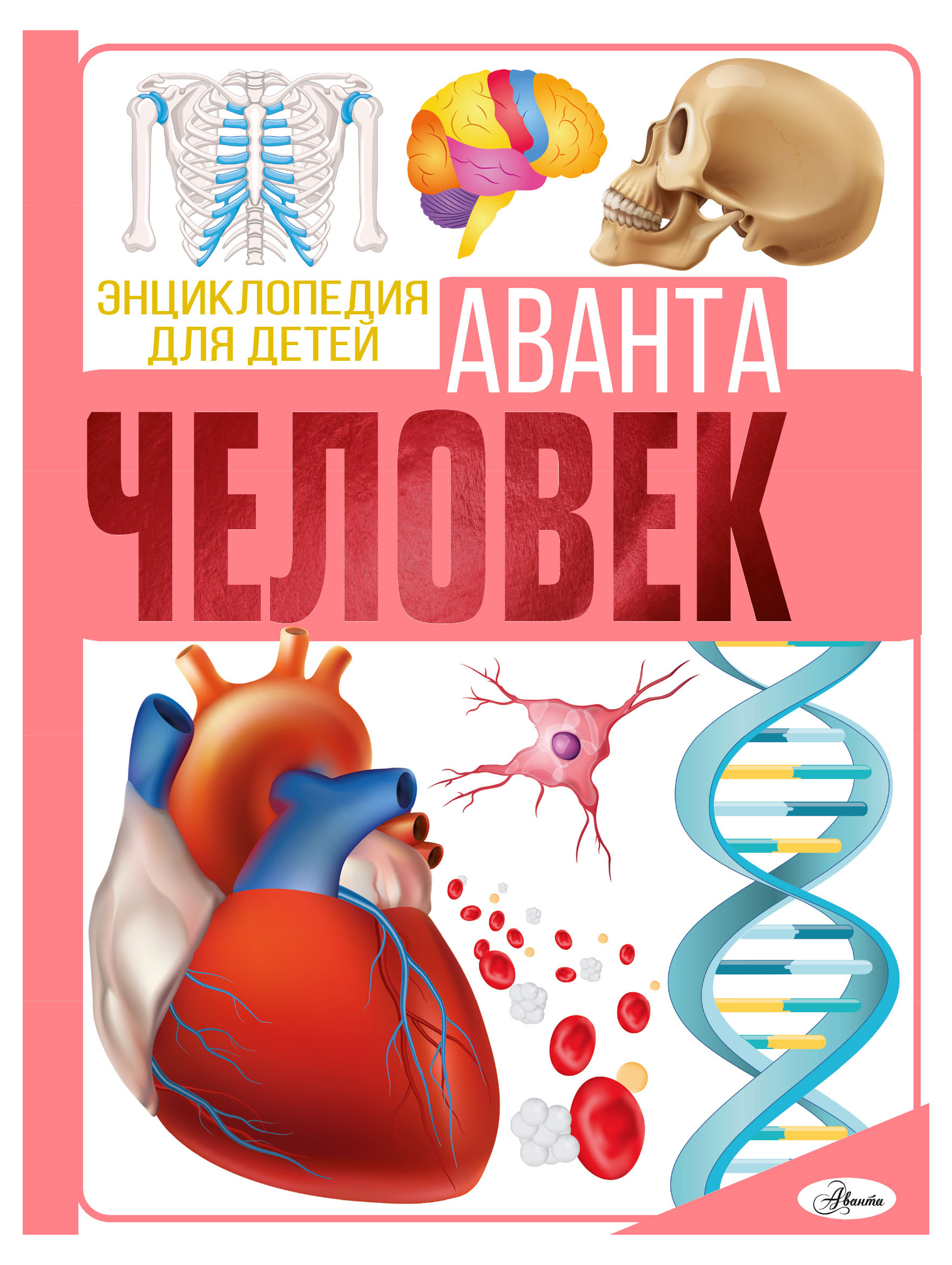 

Энциклопедия. Человек, Резько И. В.