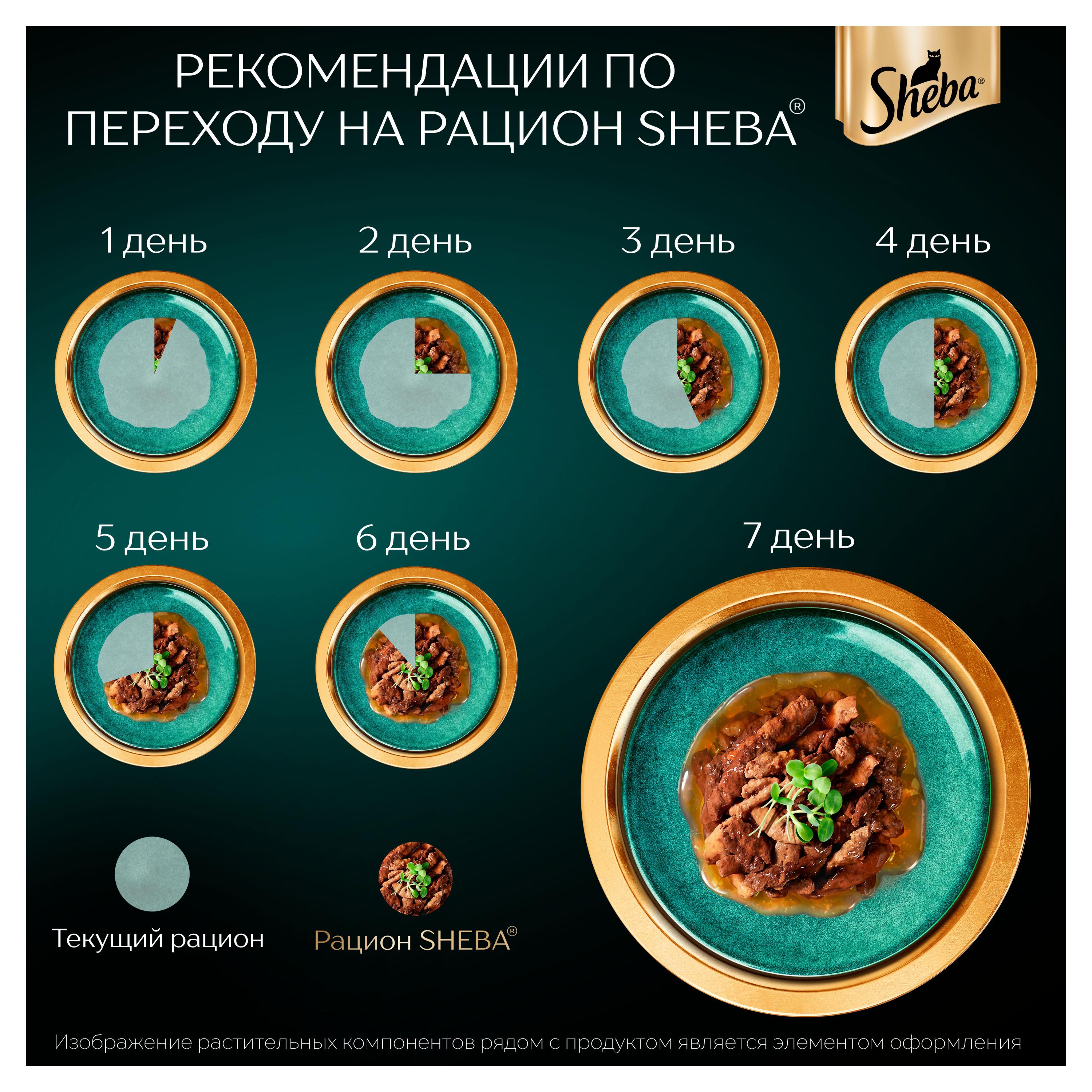 https://www.auchan.ru/files/original/28369568
