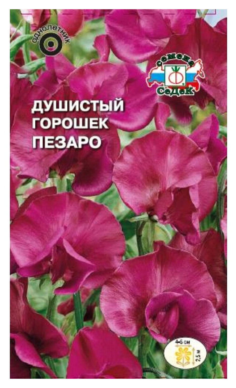 

Семена Горошек душистый СеДеК Пезаро, 1 г