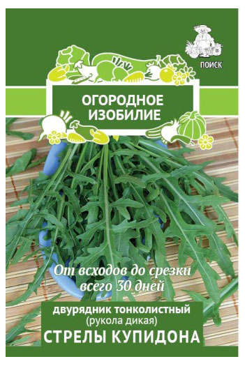 

Семена Поиск Двурядник Стрелы купидона