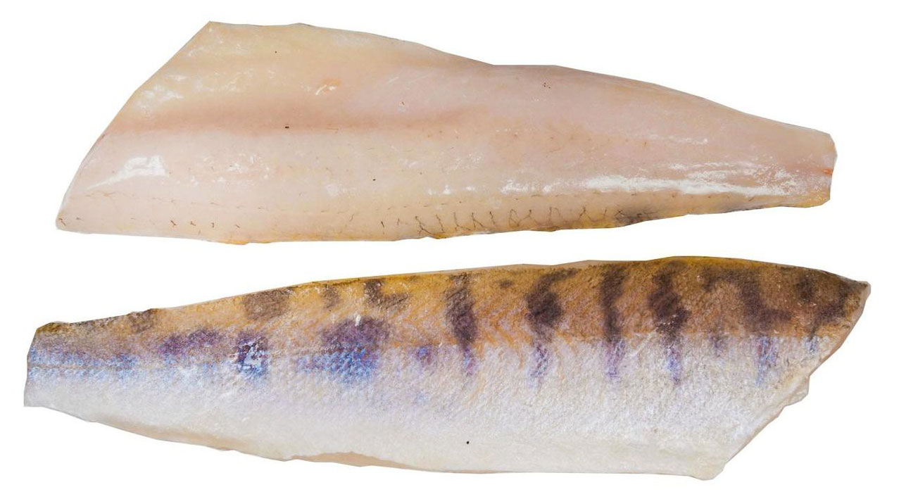 

Судак охлажденный филе без кожи, вес