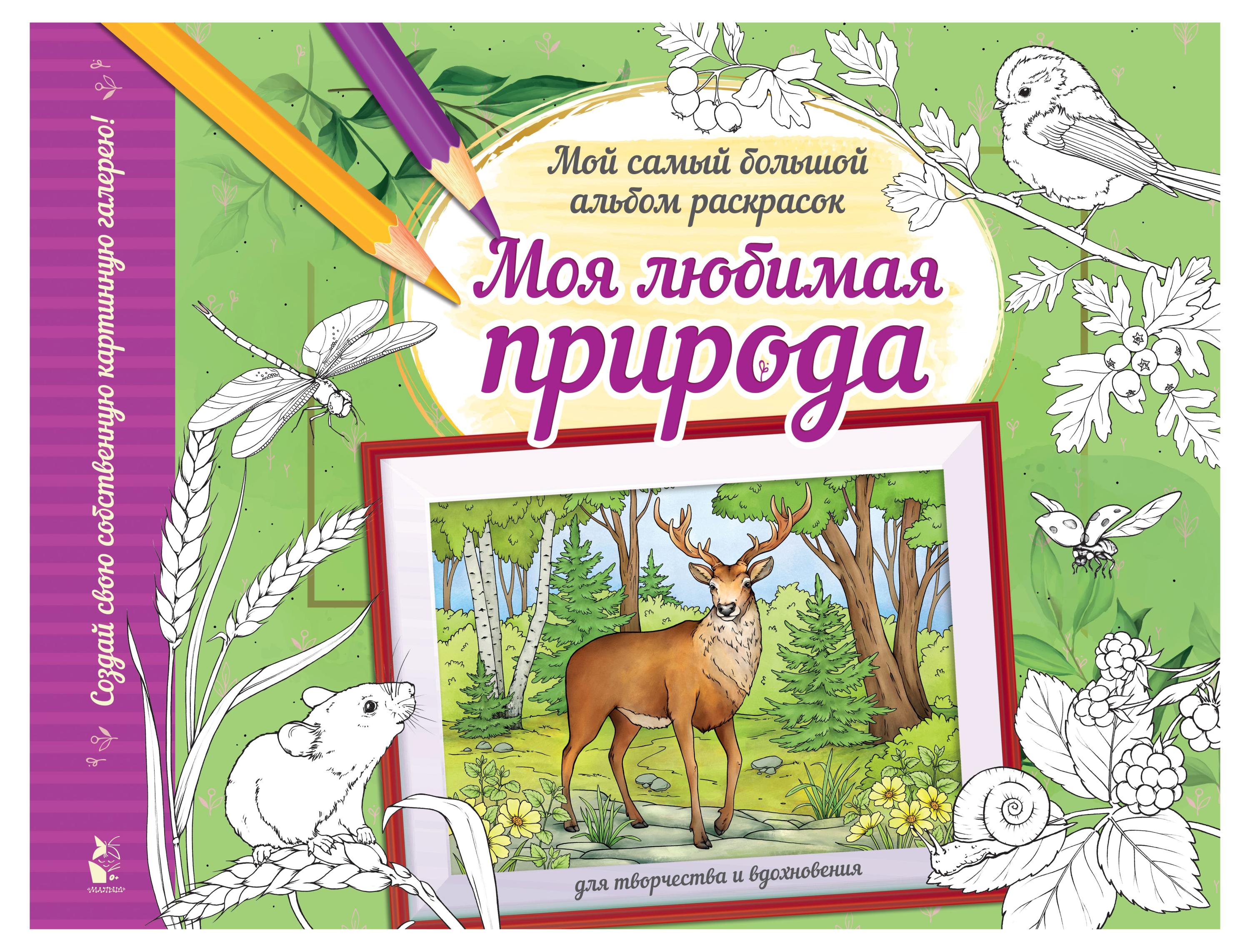 

Раскраска Моя любимая природа
