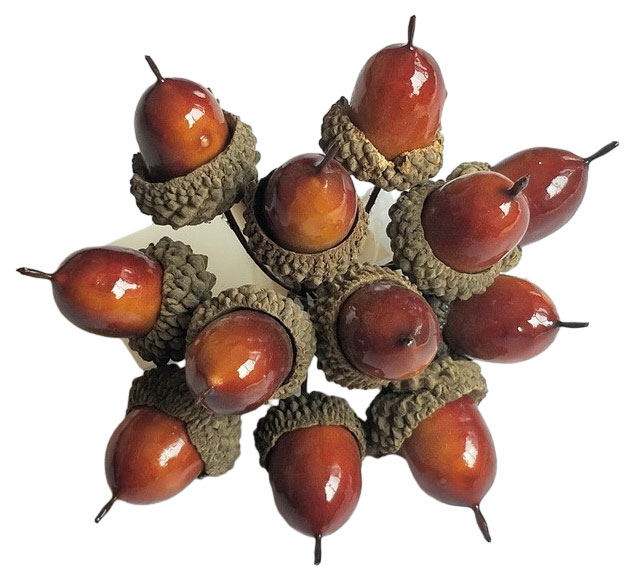 

Набор-букет желудей Азалия Декор на вставках D1,5x2,5xL12см коричневый из 12 шт, 1 шт