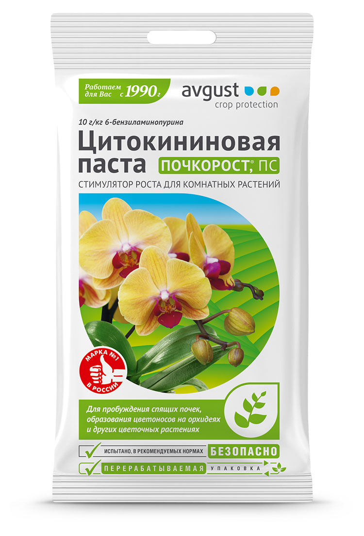

Почкорост Август, 1,5 г