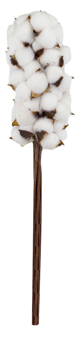 

Набор Букет хлопка сухоцветы 10 шт Азалия Декор белый декор для цветов и флористики 50 см, 1 шт