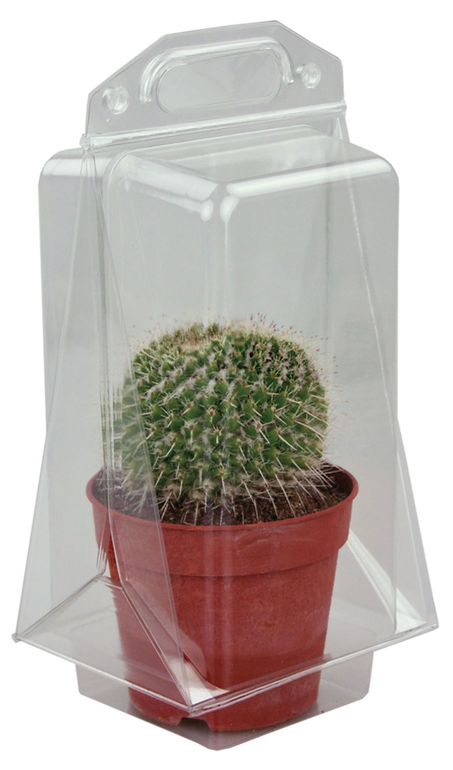 https://www.auchan.ru/files/original/28762306
