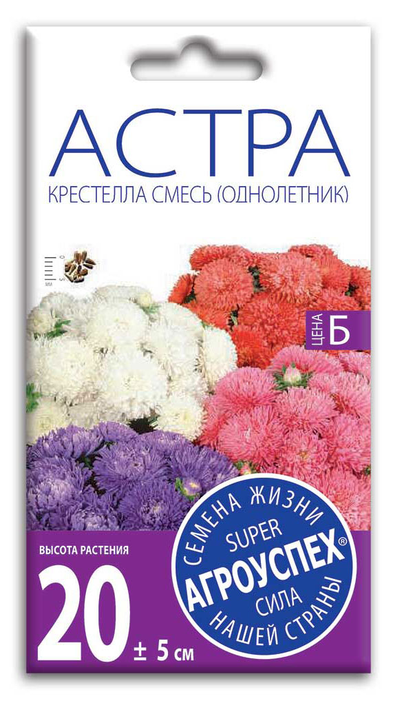 Изображение товара Семена «Агроуспех» Астра Крестелла смесь