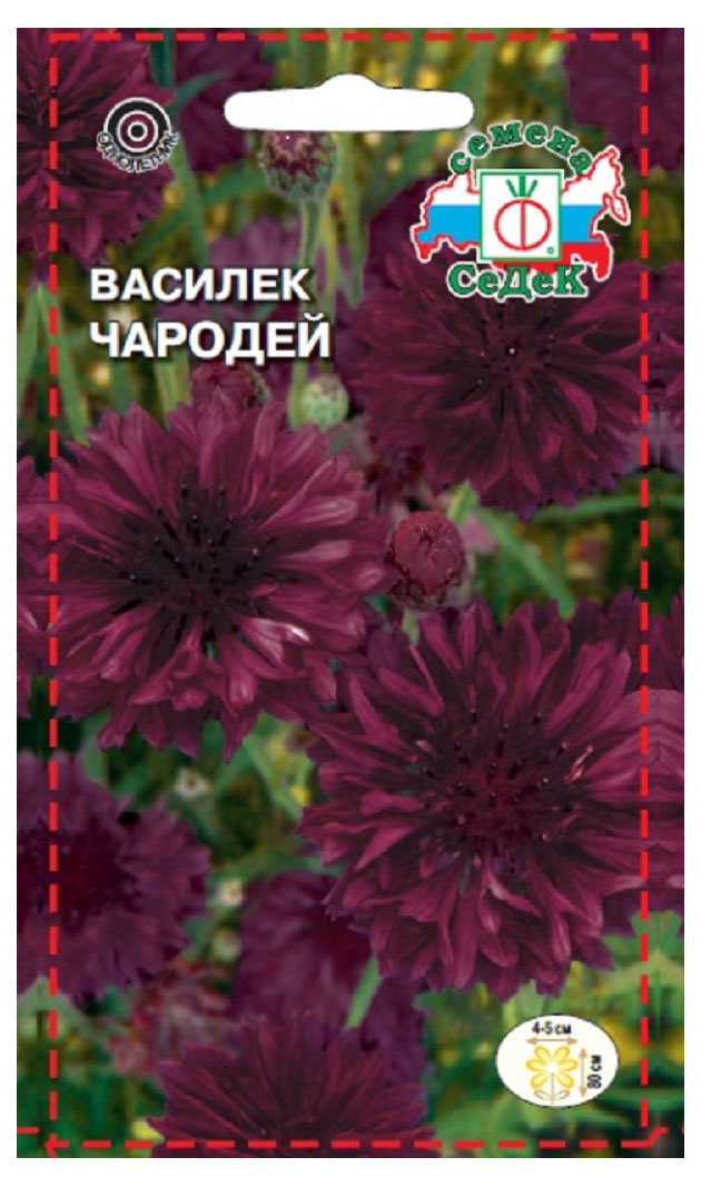 

Семена СеДеК Василек Чародей