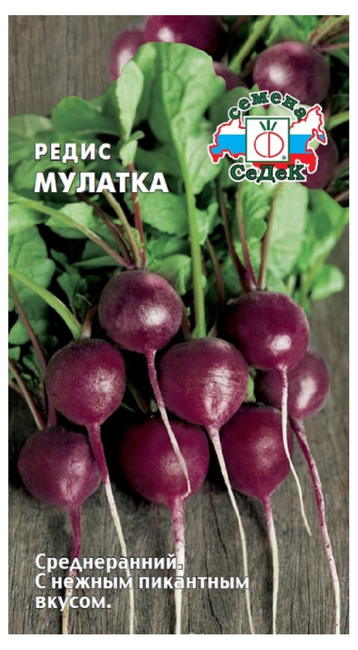 

Семена СеДеК РедисМулатка