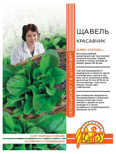 

Семена Штайнерт Щавель Красавчик, 0,5 г