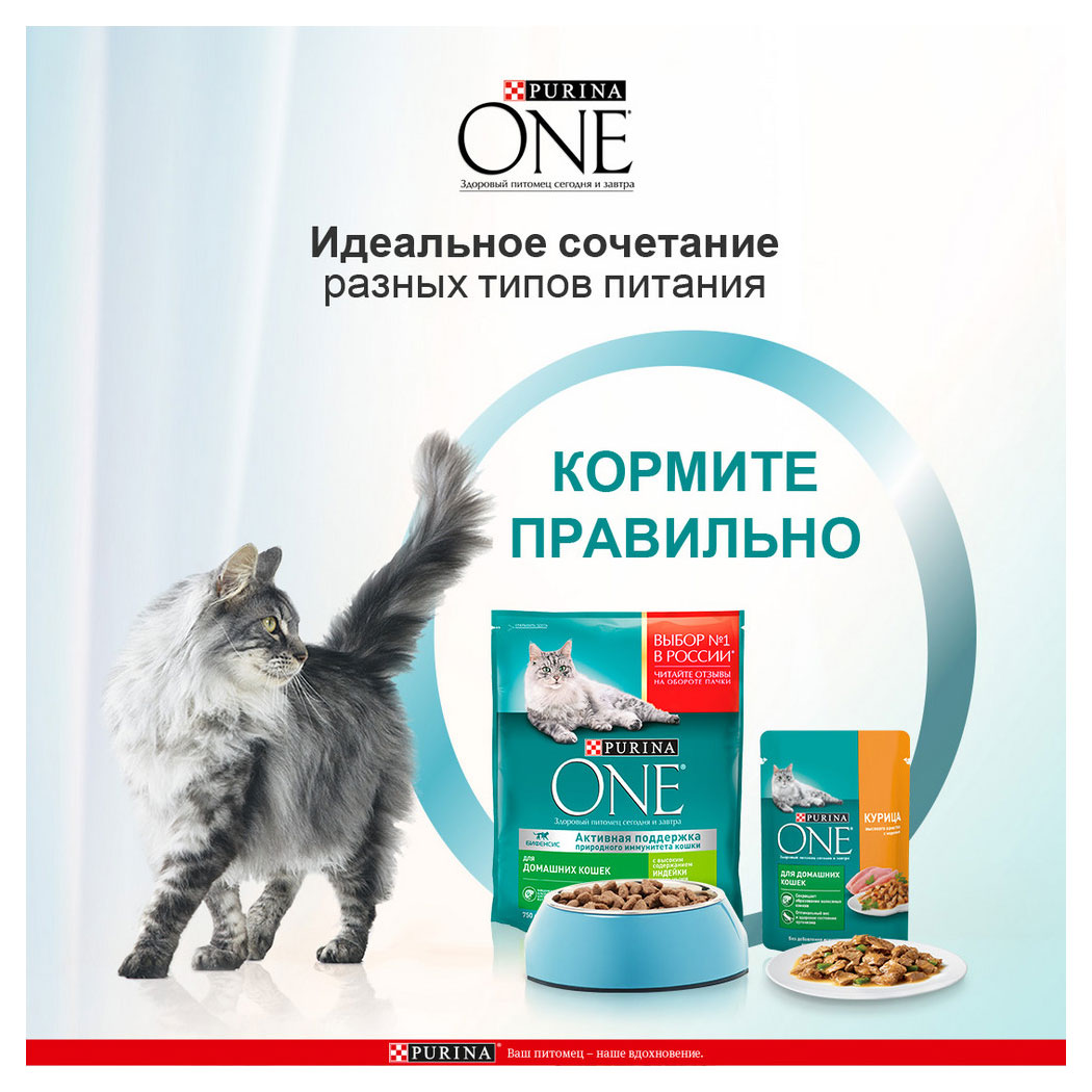 https://www.auchan.ru/files/original/28838759
