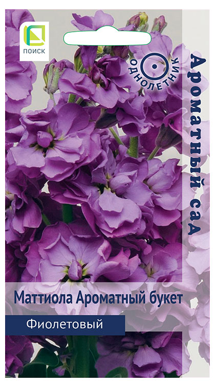 

Семена Поиск Матиола Букет Фиолетовый, 0,05 г
